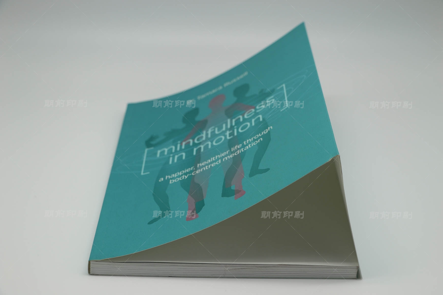 廣州學校宣傳畫冊設(shè)計印刷 廣州包裝印刷