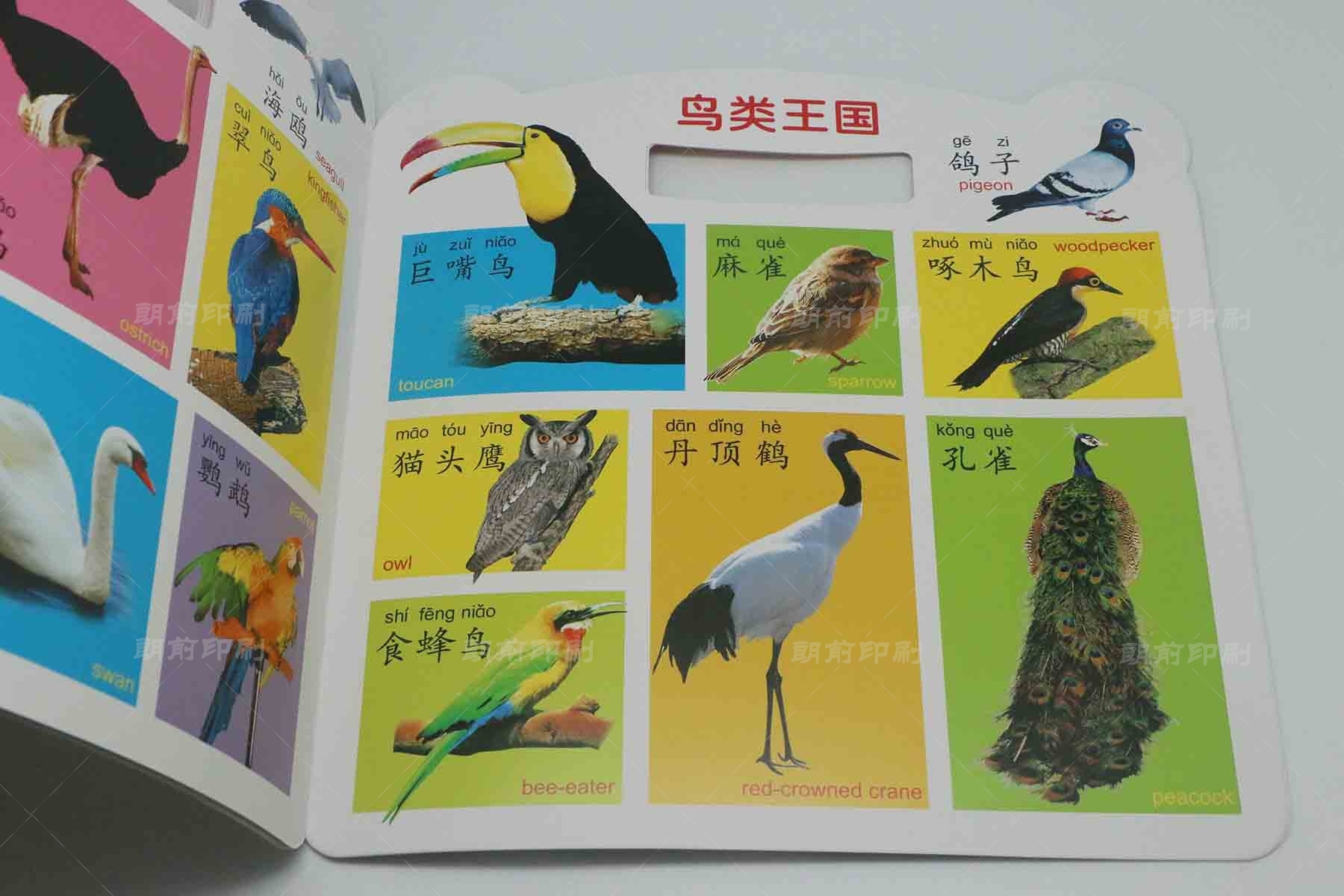 廣州宣傳冊畫冊印刷多少錢 廣州醫療設備畫冊設計制作