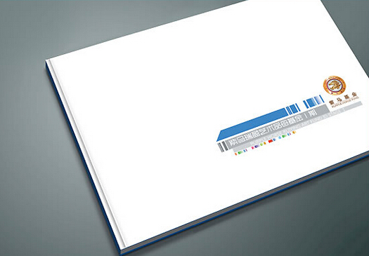 廣州公司畫冊(cè)印刷公司 廣州專業(yè)的折頁畫冊(cè)設(shè)計(jì)制作